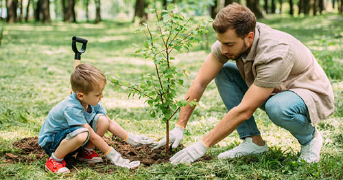 A Learning Coach and online elementary student participating in Earth Day activities for elementary school planting a tree in a park. 