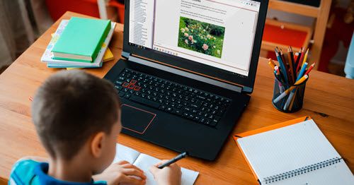 Young elementary sudent learning at his computer
